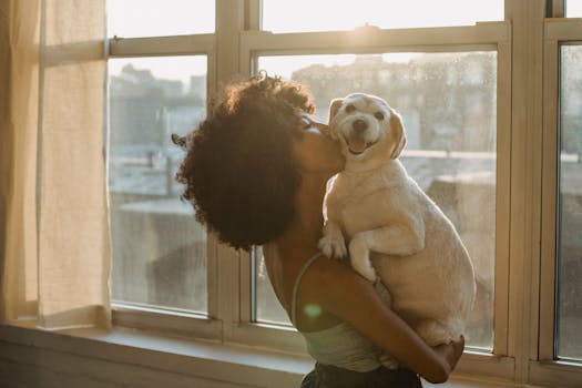 happy doodle cuddling with its owner