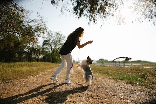 happy Labradoodle playing with owner