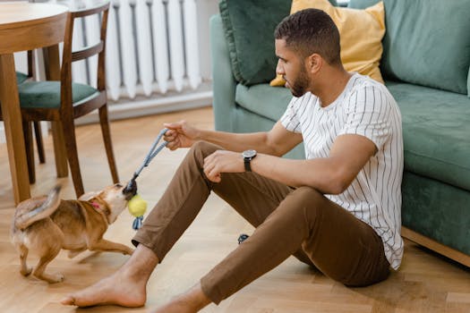 dog playing with a homemade toy