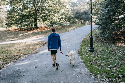 Doodle owners enjoying a community dog walk