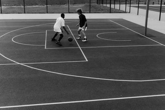 doodle playing with friends at the park