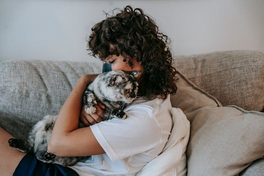 Goldendoodle enjoying time with owner