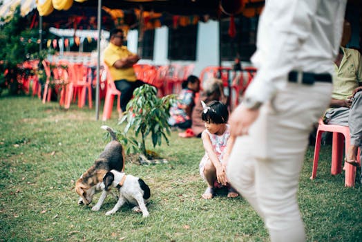 doodle festival with people and dogs