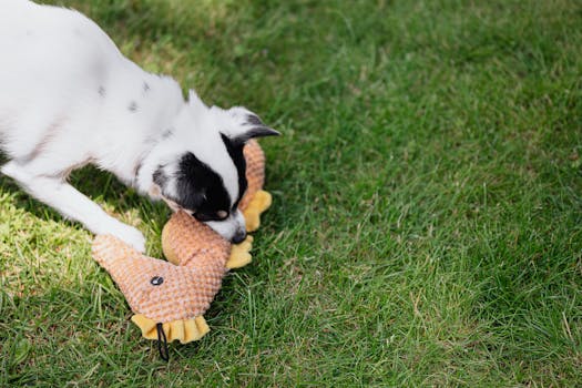 dog playing with a handmade toy