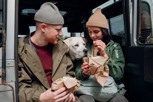 doodle-inspired outdoor activity with a dog