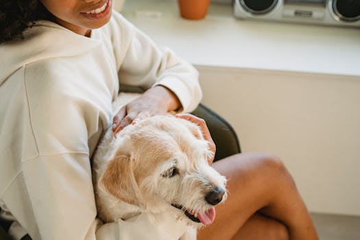 happy pet owner with doodle